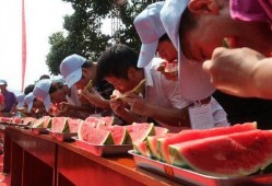 今日吃瓜--今日大赛