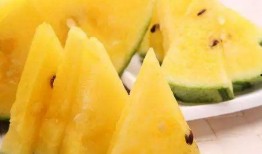 吃瓜视频在线观看免费版 黑瓜,揭秘热门事件背后的真相