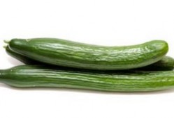 a圈惊天大瓜.黄瓜c,黄瓜c引发热议，揭秘背后真相