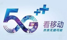 韩国体育圈 爆料热线,揭秘幕后真相与热点事件